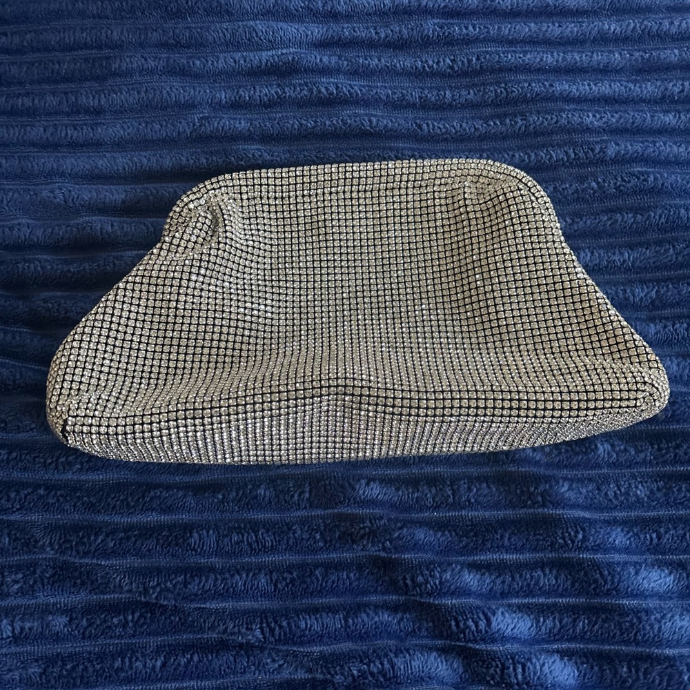 Chic Silver Mesh Clutch